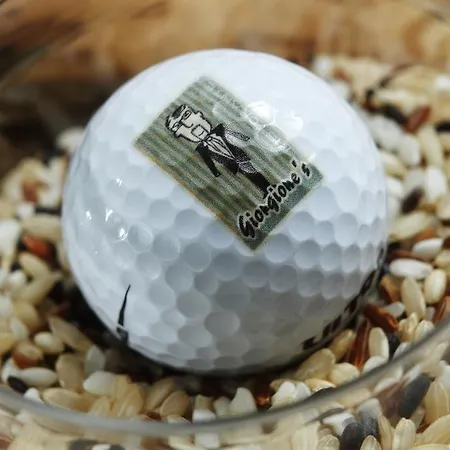 Della Roccia מלון 4*